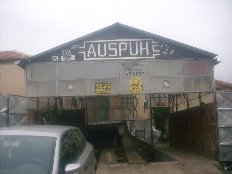 auspuh sevis 'AS.GECY"