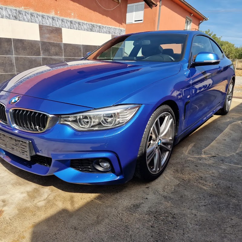 Auto Detailing Šone
