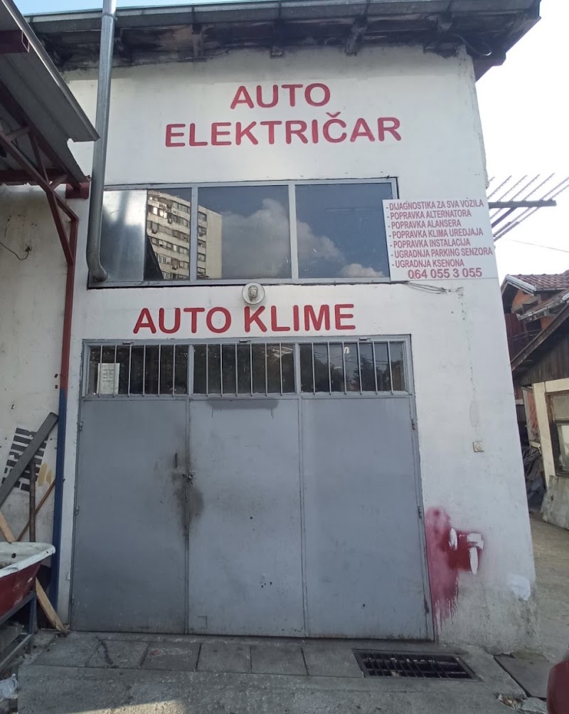Auto elektricar Denis