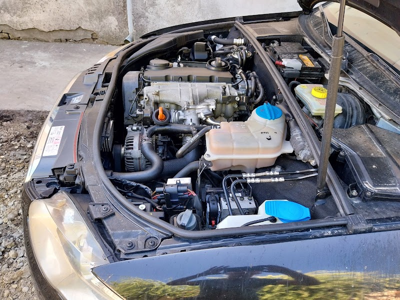 Auto Mehanicar "MIKA" BOROTA