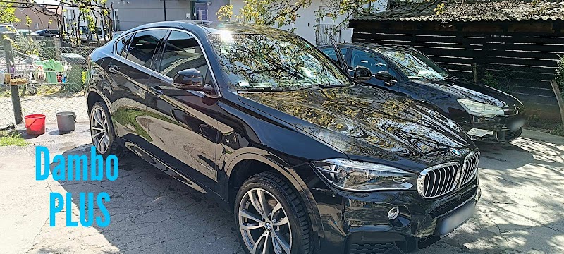 Auto perionica Dambo Plus