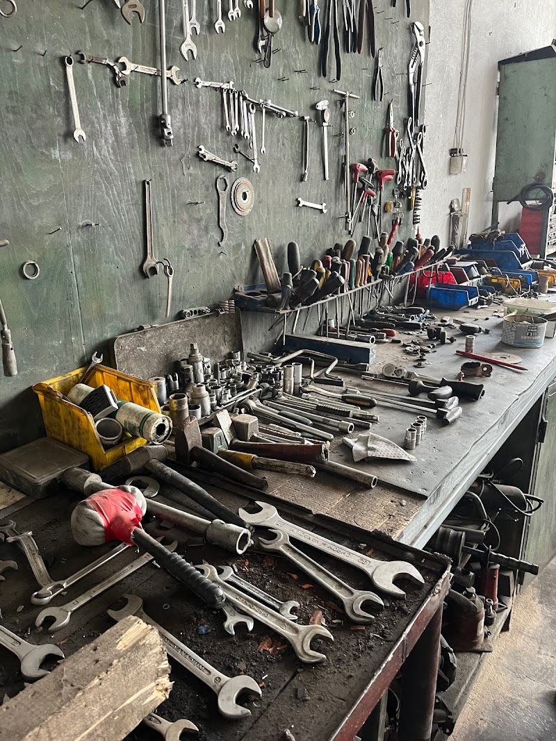 Auto servıs