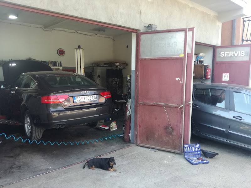 Auto servis Begović