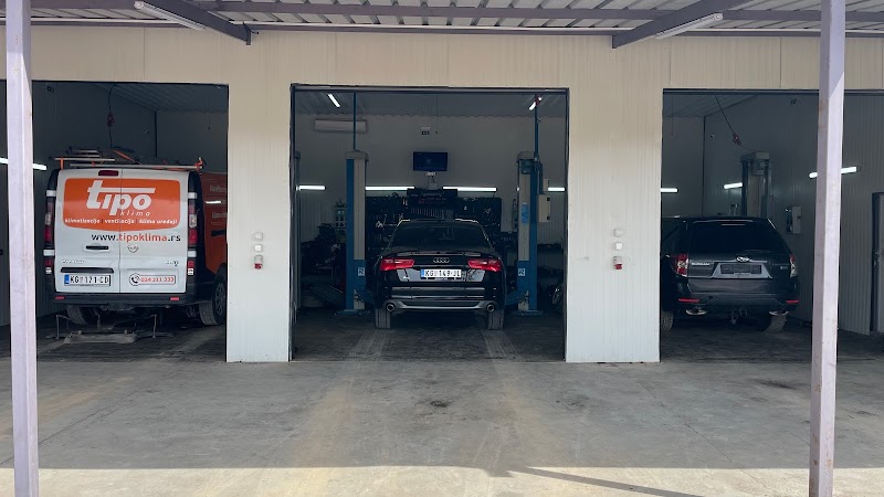 Auto servis i delovi reno