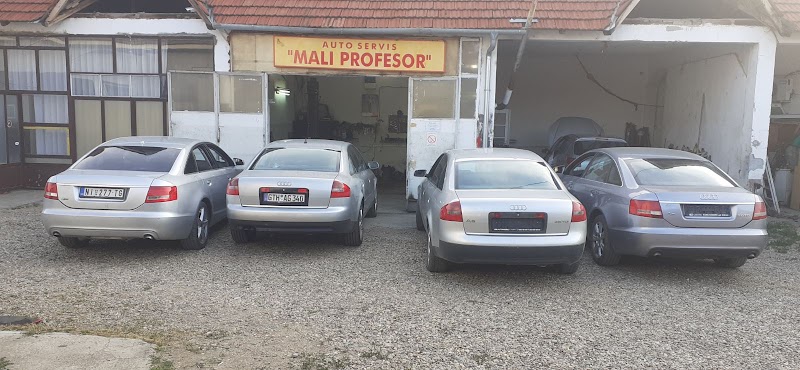 Auto Servis MALI PROFESOR
