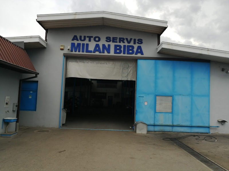 Auto Servis Milan Biba
