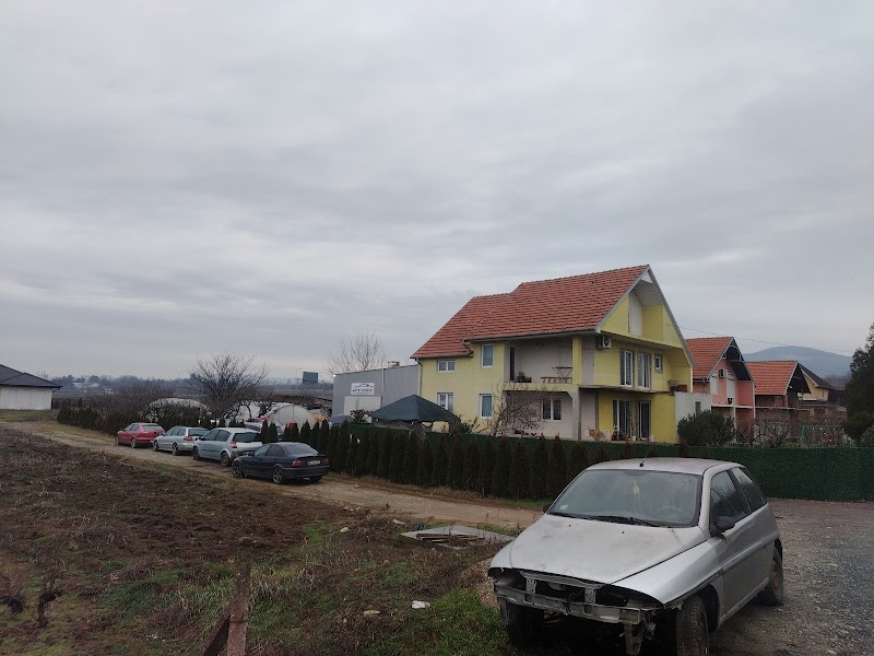 Auto servis Pešić