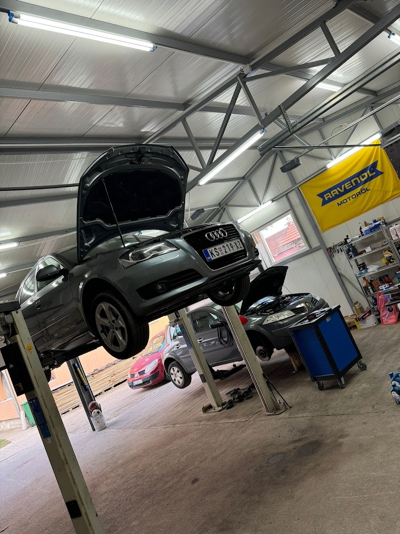 Auto servis Ristic 037