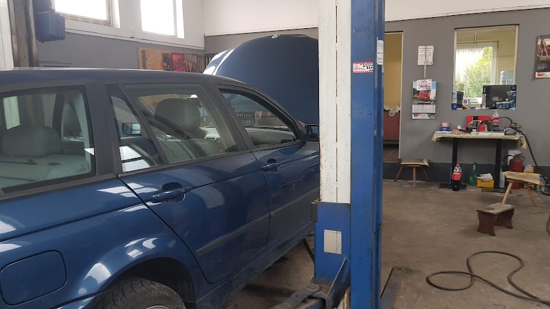 Auto servis Tine