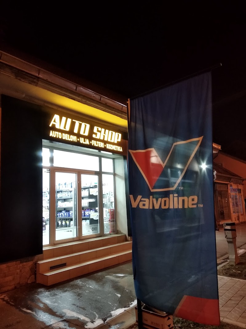 Auto Shop 022