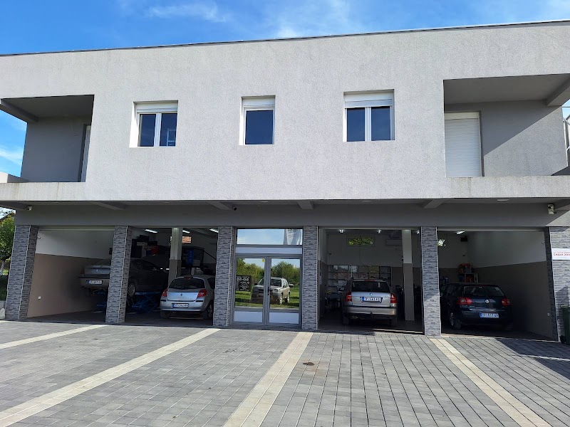 Autoelektričar Saša 2014