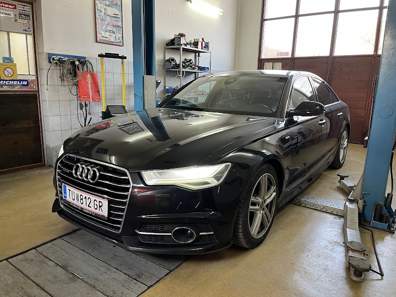 AutoElektrika Popović
