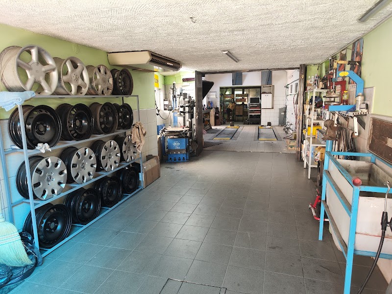 AutoServis Kraguljac i sin