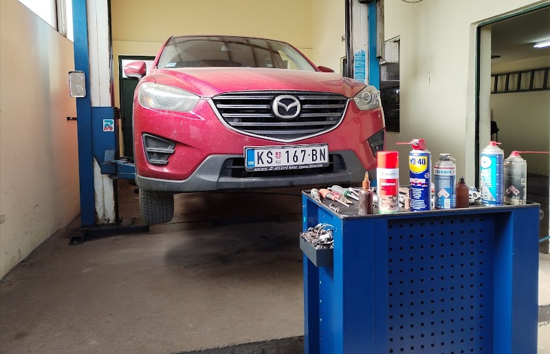 Autoservis "Srbo"