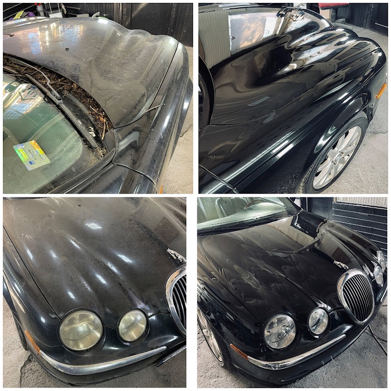 Black Sheep Detailing