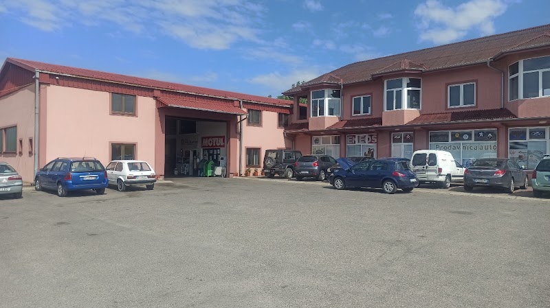 Bosch Auto Servis Vlada Bosanac