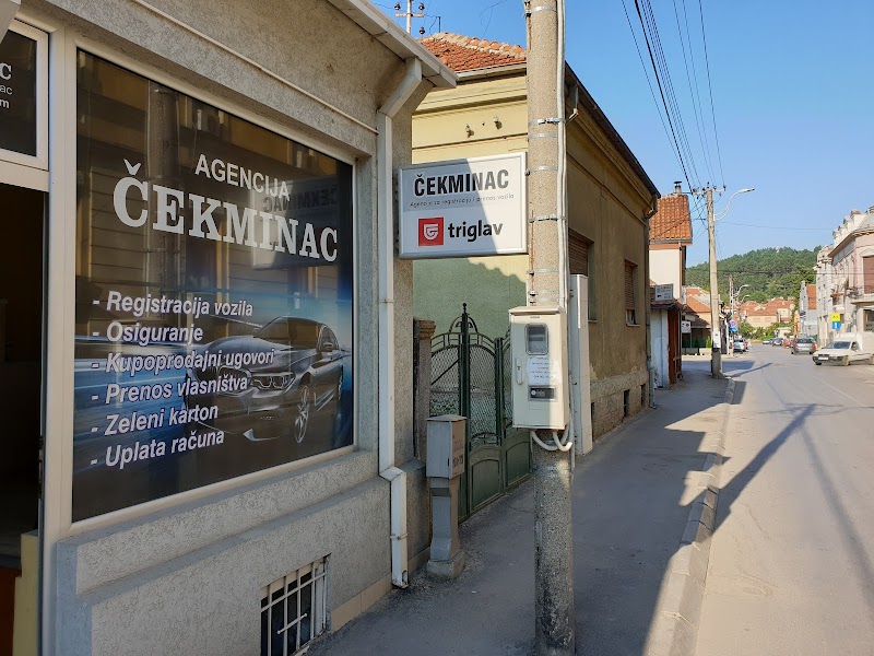 Čekminac