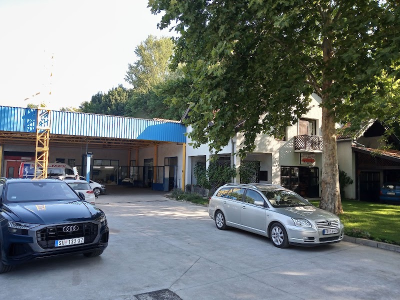 Disić