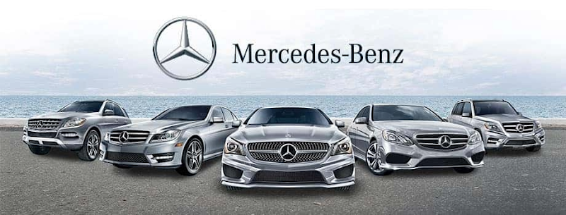 MERCEDES SERVIS PETROVIĆ