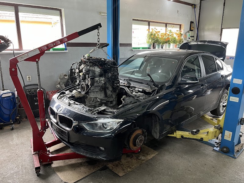 Orlović auto