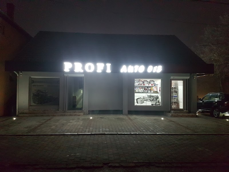 PROFI AUTO 013