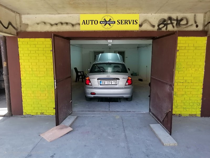 Samo Mali Servis