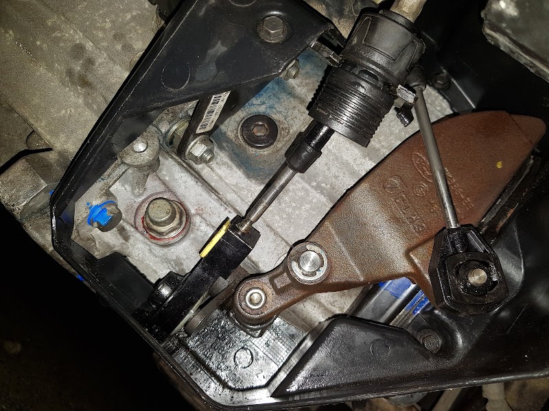 Servis DANE