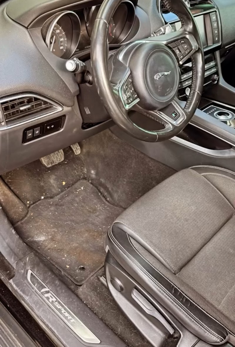 Shine Wizards auto detailing