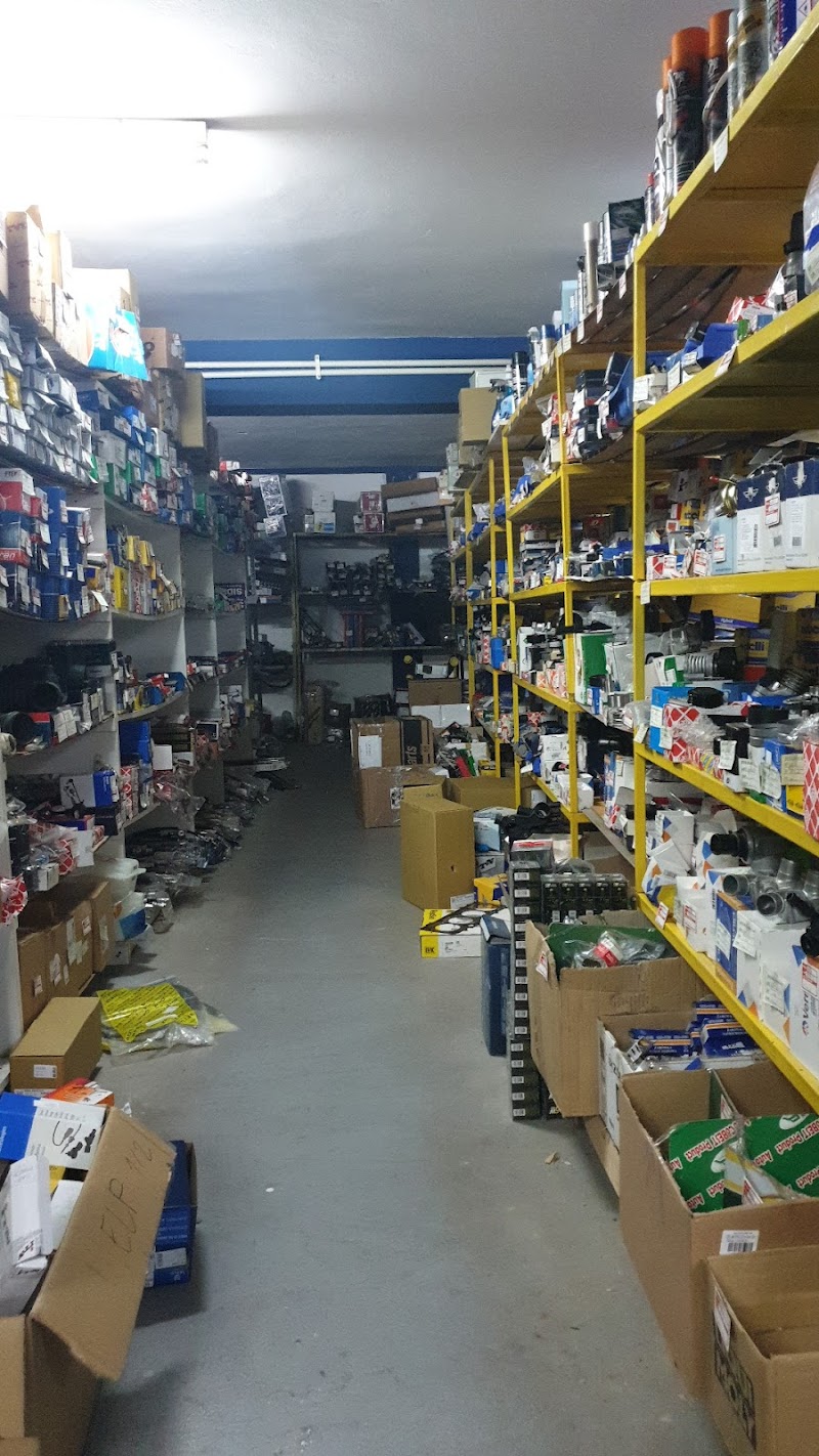 STR ELF DESPOTOVAC