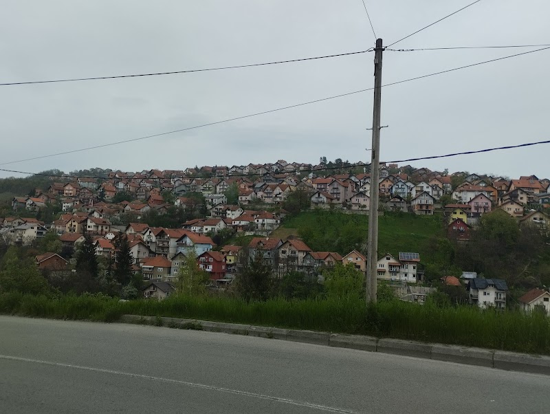 TERAZIJE