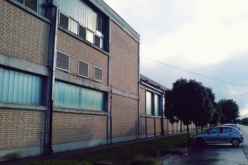 Tisza Automotive Kikinda