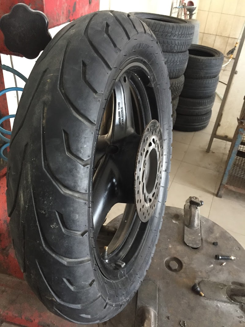 Vulcanizer