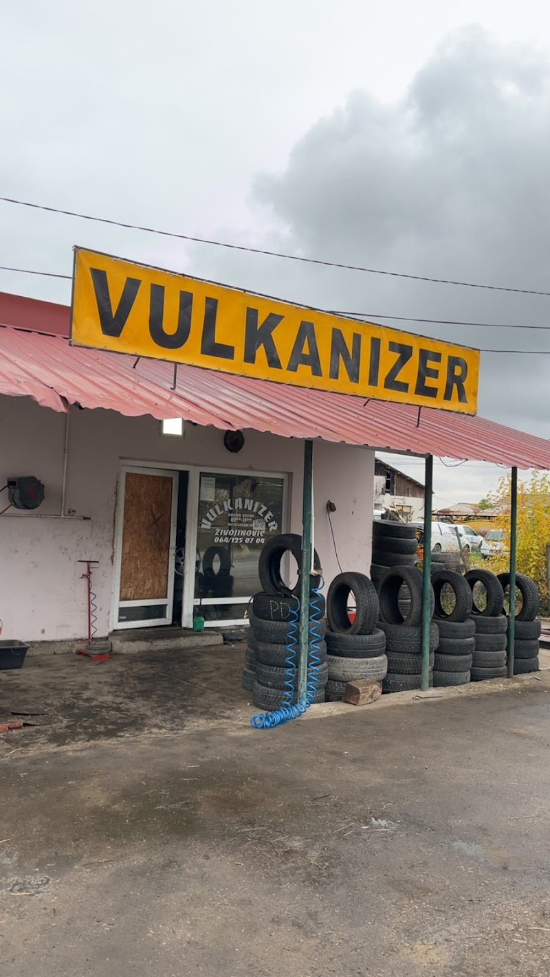 Vulkanizer Zivojinovic