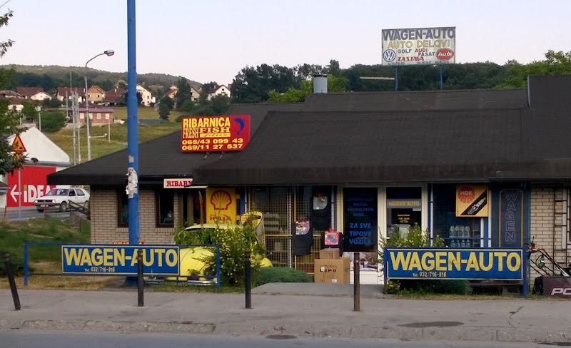 Wagen-Auto
